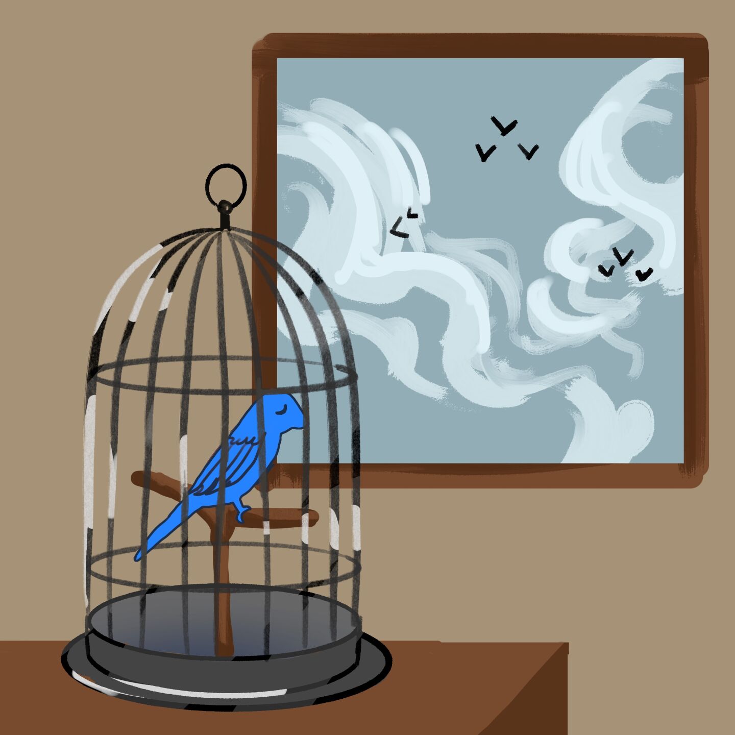 Birds illustration